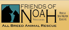 FriendsOfNoah