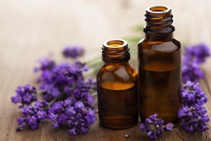 LavendarEssentialOils660