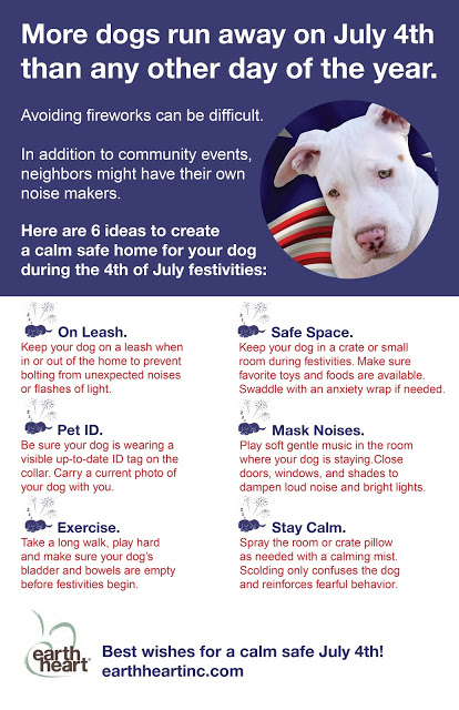4th_of_July_Infographic (1)
